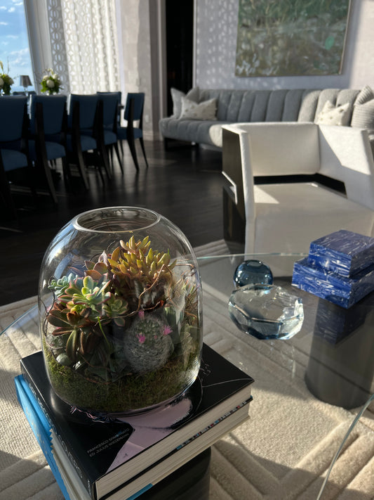 Terrariums piropo flowers