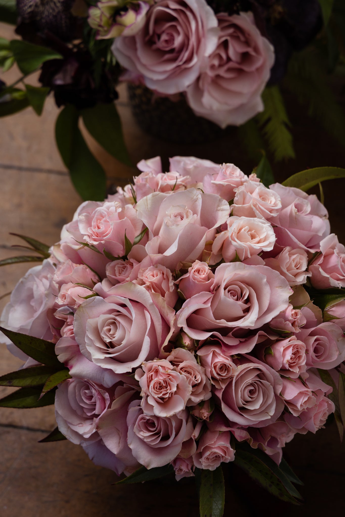 Piropo Flowers -fresh cut flowers – piropo flowers