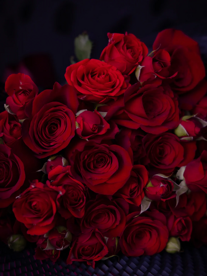 Rose PIROPO FLOWERS