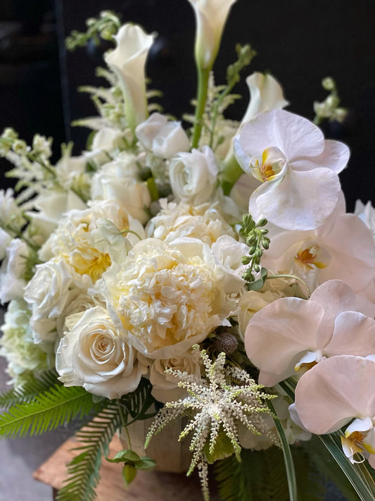 White hues piropo flowers